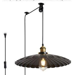 Plug in Pendant Lights for Ceiling,15.7 Inch Retro Black Metal